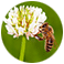 Beekeeping Blog