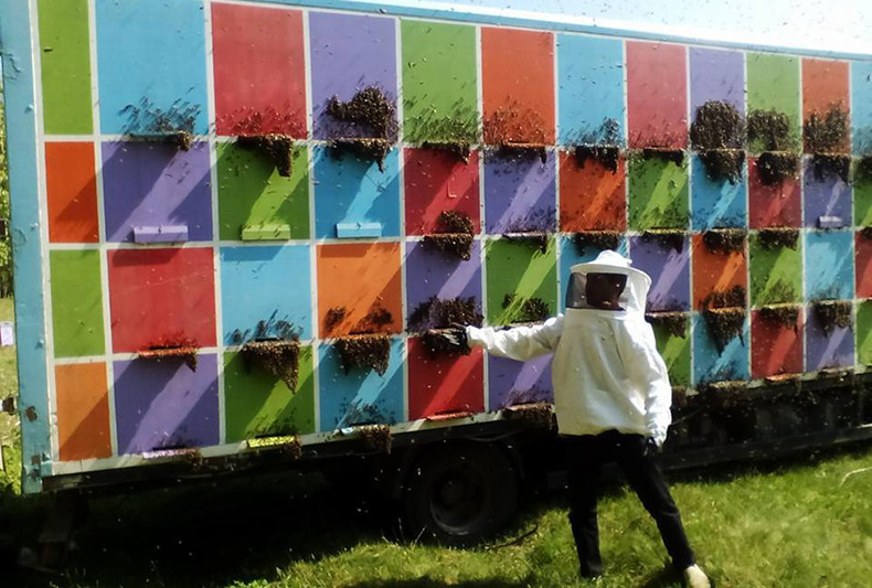 Motorized-Apiary-2