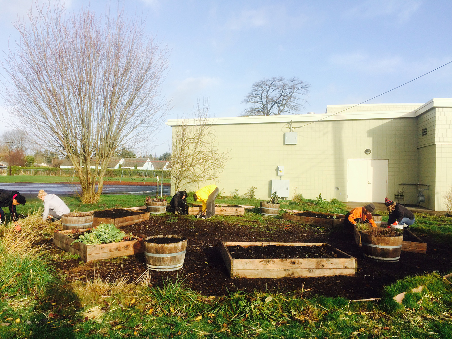 School Garden Project Work Party Dec 2015