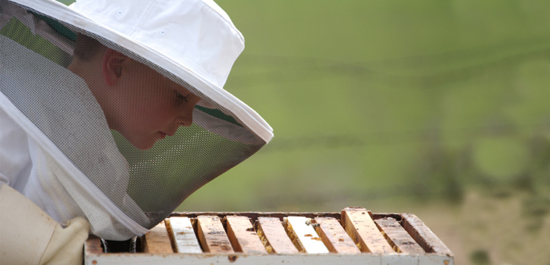 Top 5 Ways to Get Your Kids Excited About Beekeeping