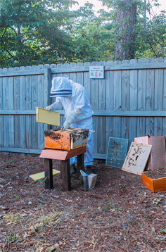 Male beekeeper with beehive near fence