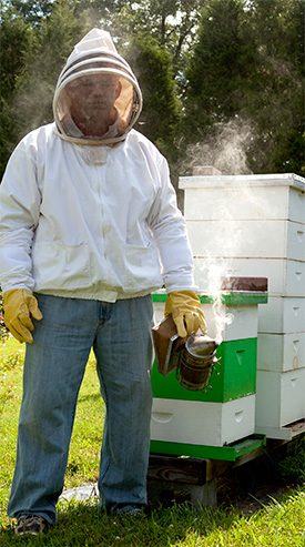 beekeeper-got-stung