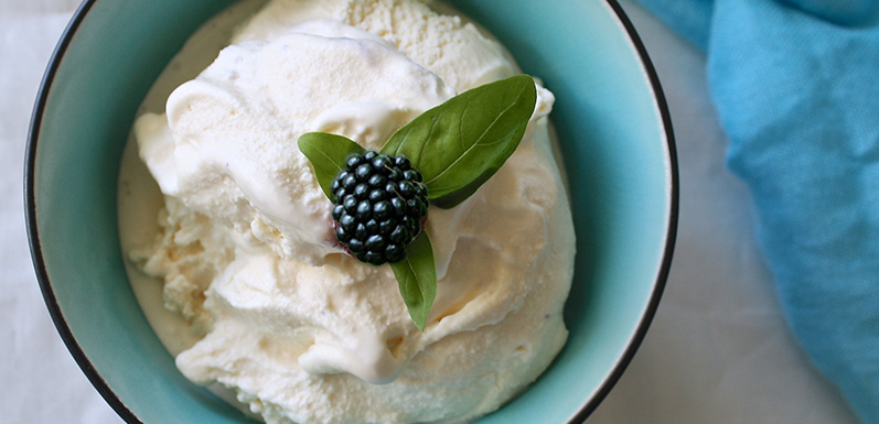 Blackberry Honey-Vanilla Ice Cream - GloryBee Blog