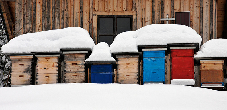 How To Winterize Your Hives [Part 2]