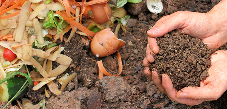 How to compost and three reasons to start today