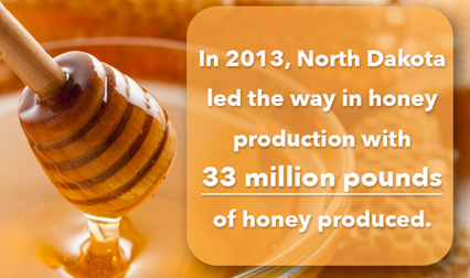 North Daktoa Honey Production