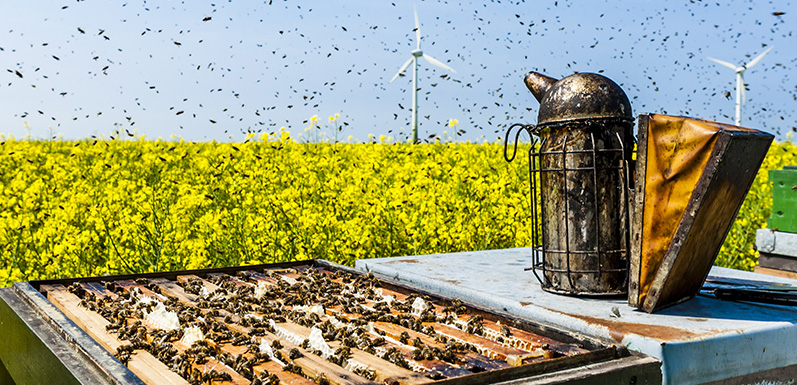 Bee hive smoker