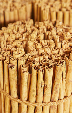 Bundle of Cinnamon Sticks