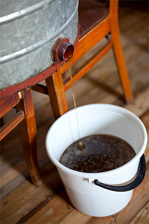 Honey Extracting into bucket