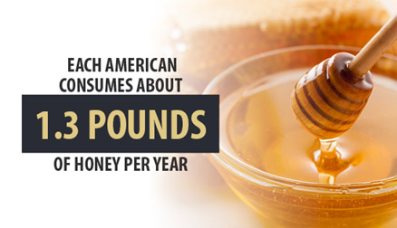Americans consume honey