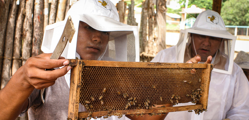 GloryBee Non-GMO, Fair Trade Honey- Doing the Right Thing Matters!