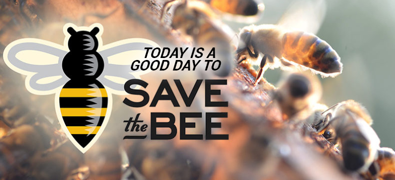 Save the Bee!