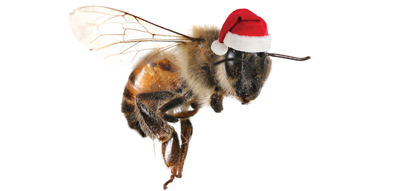 Top Gifts for Your Bees