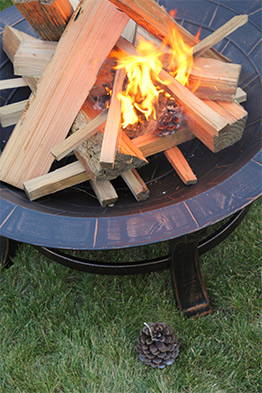 Pine Cone Fire starter outside