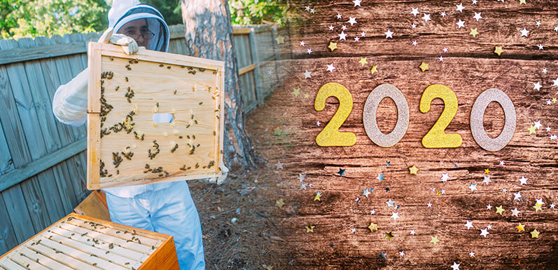 Beekeeping Resolutions for The New Year