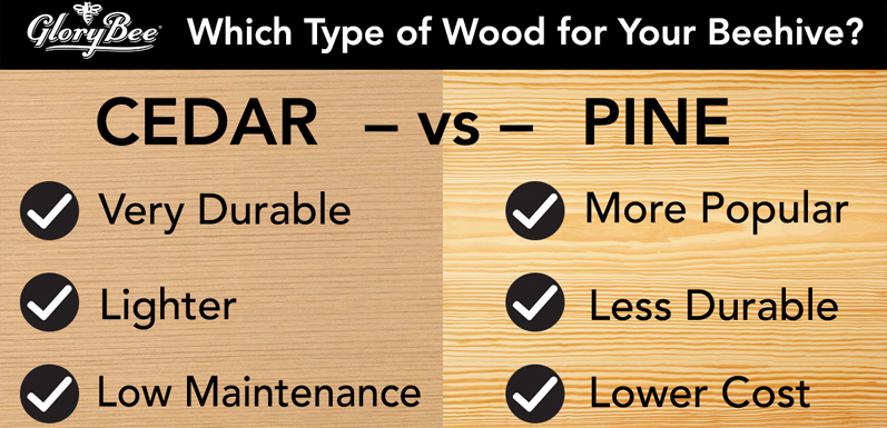 Is Cedar or Pine Right for Your Next Hive?