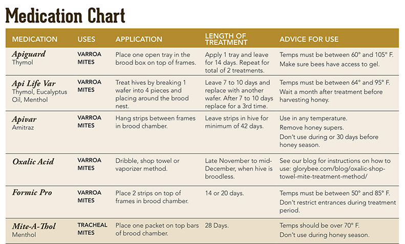 Bee Medication Chart