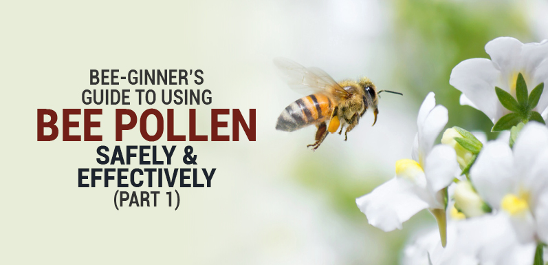 Bee-ginner's Guide to Using Bee Pollen Safely and Effectively (Part 1)