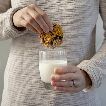 Dipping pumpkin spice breakfast cookie in milk