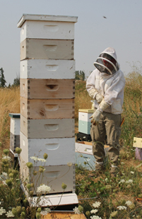 Mike next to tall  hive