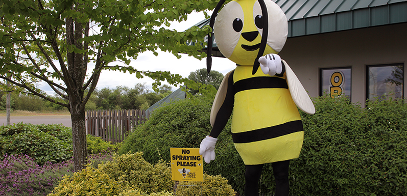 Have you met Dave The Bee?