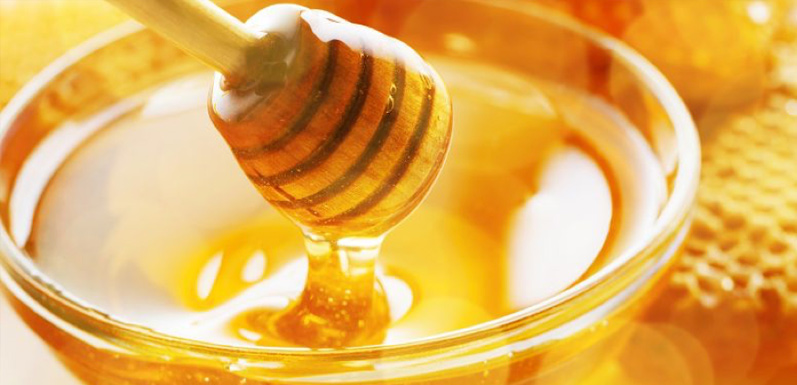Things To Look For When Buying Honey in Bulk
